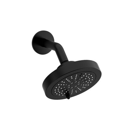 Riobel 6 2-Function Showerhead With Arm 366BK-WS